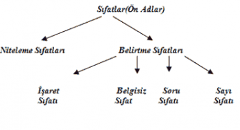 Sıfatlar Ve Sıfat Çeşitleri